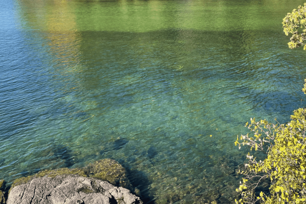 Lake George Clear Water at Log Bay Hike