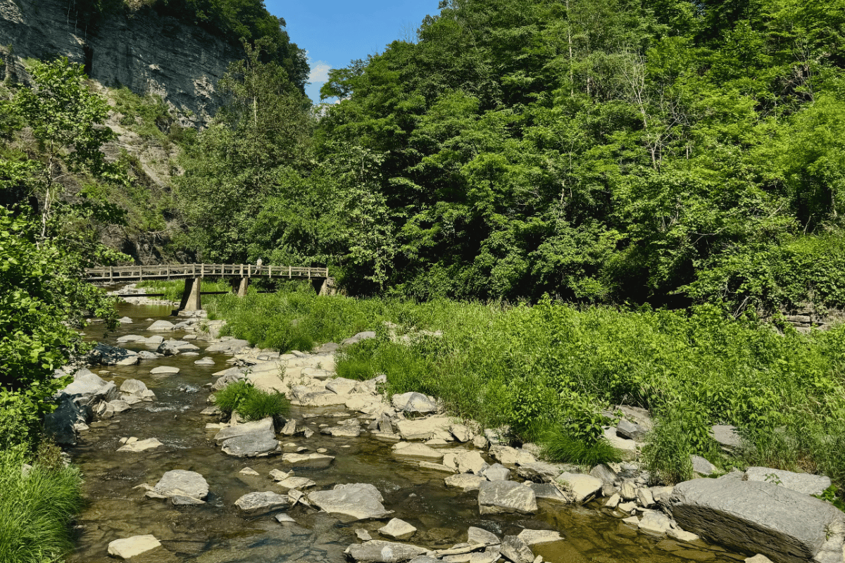 Stream, bridge and woods at Taughannock Falls State Park Gorge Trail