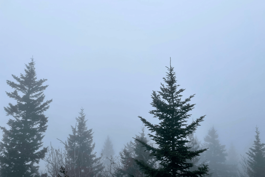 Clingmans Dome Parking Lot on a foggy day where some of the best hike trailheads are located