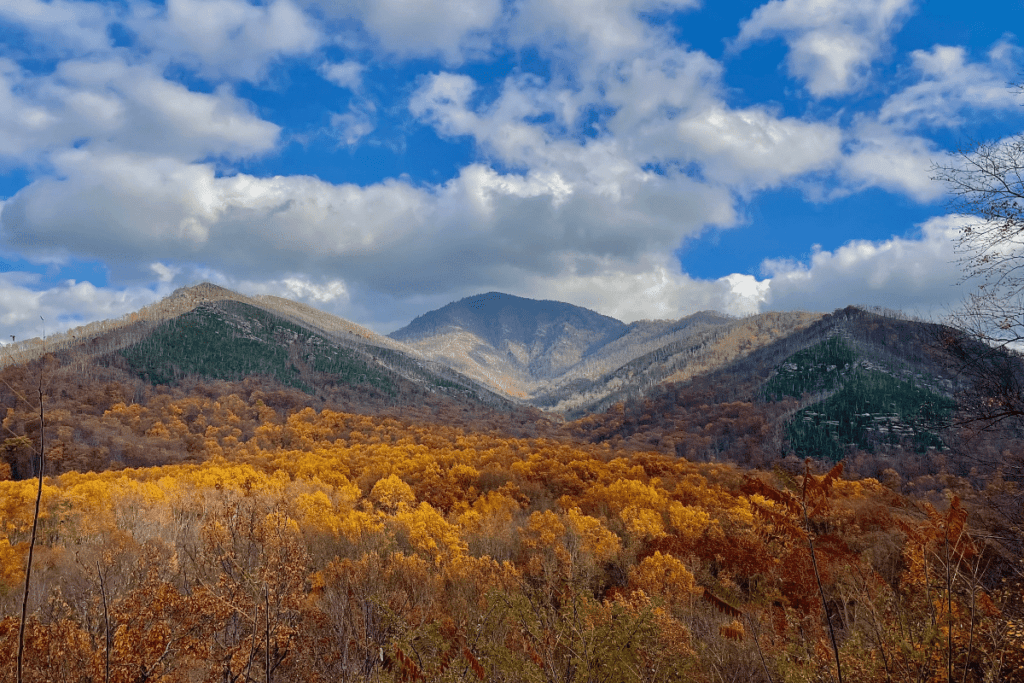 GSMNP Main Road View in Fall 