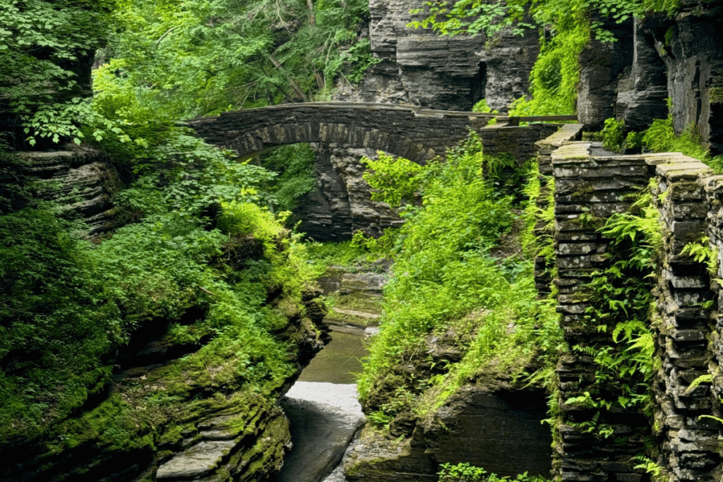 Bridge from Gorge Trail at Robert H Treman State Park Finger Lakes NY Hiking to see Lucifer Falls