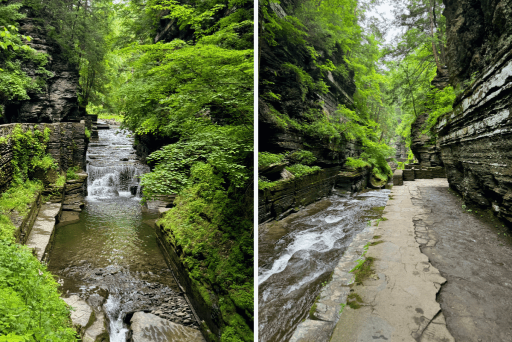 Trail views from Gorge Trail at Robert H. Treman State Park Finger Lakes NY