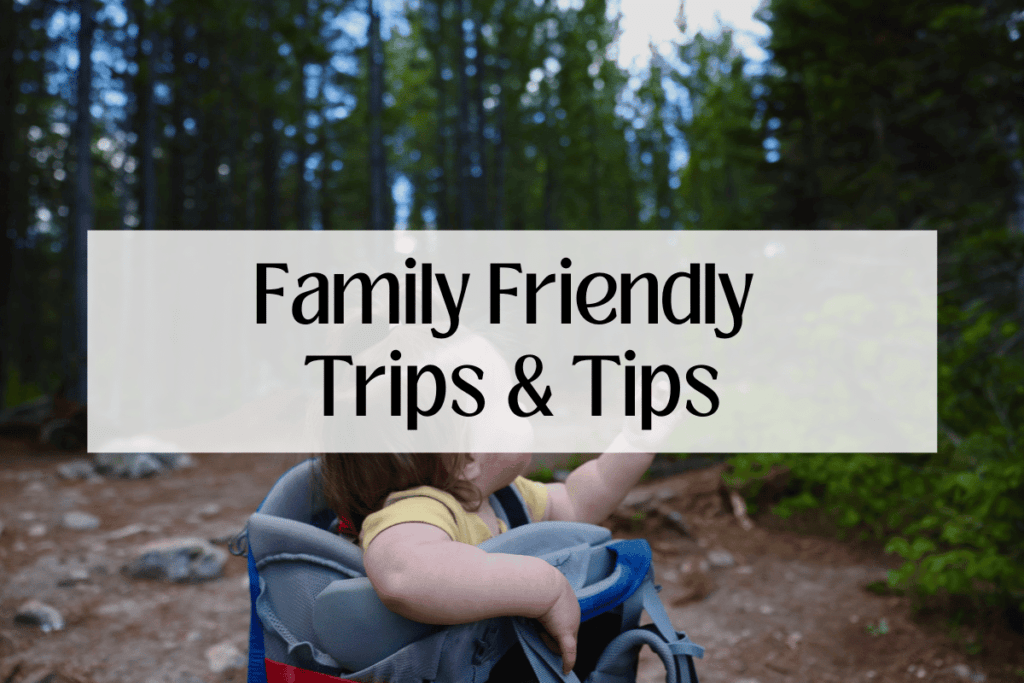 Family Friendly Trips & Tips Baby Toddler in HIking Carrier