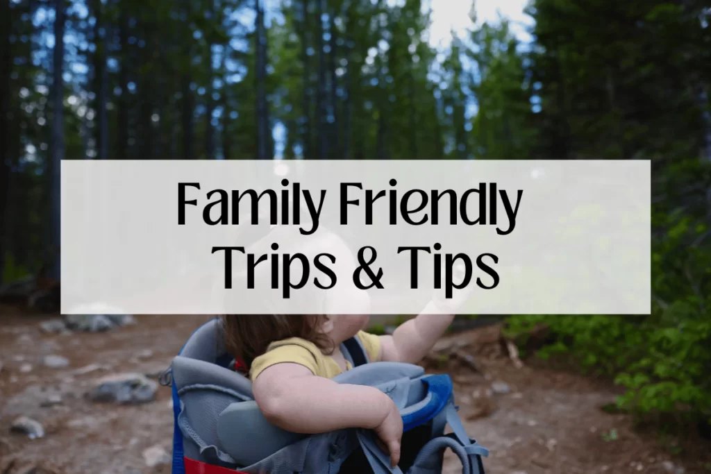 Family Friendly Trips & Tips Baby Toddler in HIking Carrier