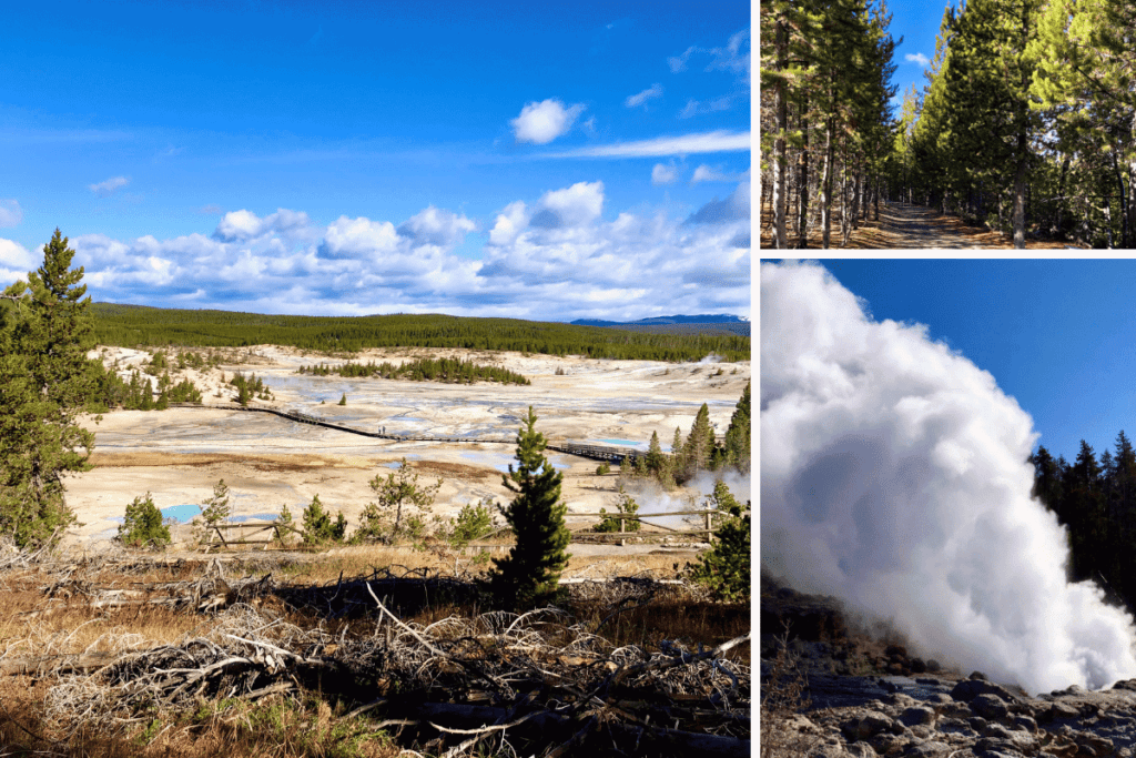 Norris Geyser Basin photo from afar, steamboat geyser basin and wooded trail in Norris area Yellowstone National Park