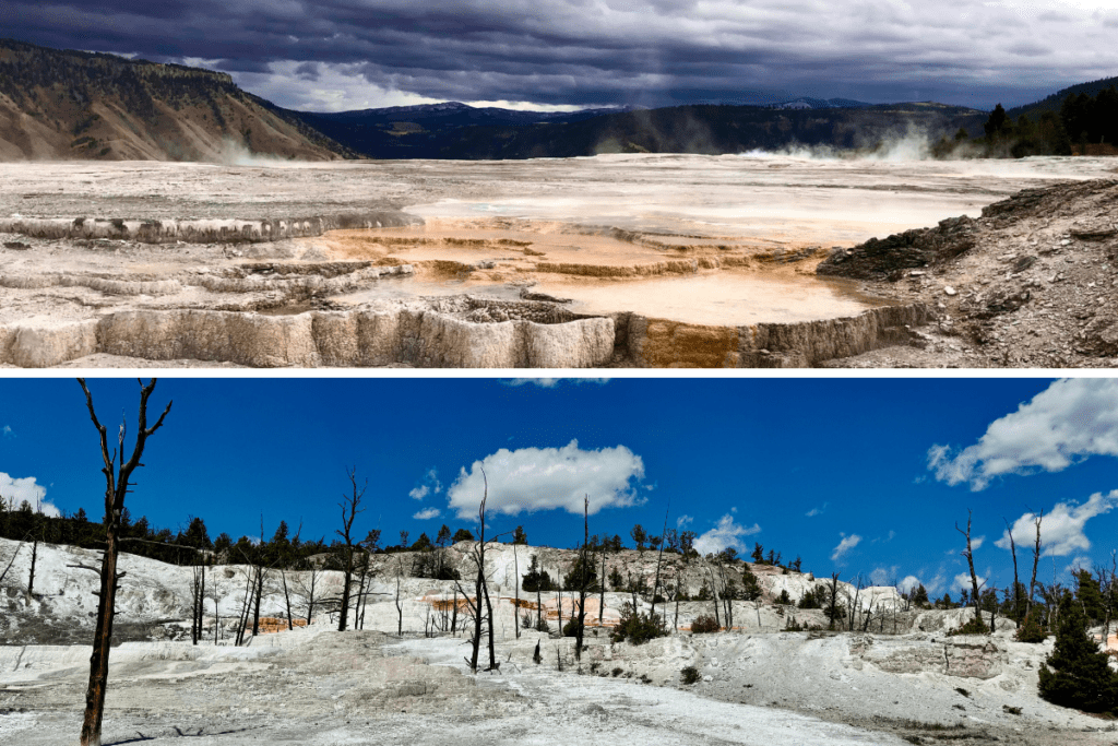 Mammoth hot springs terrace upper areas with a moody sky in Yellowstone national park