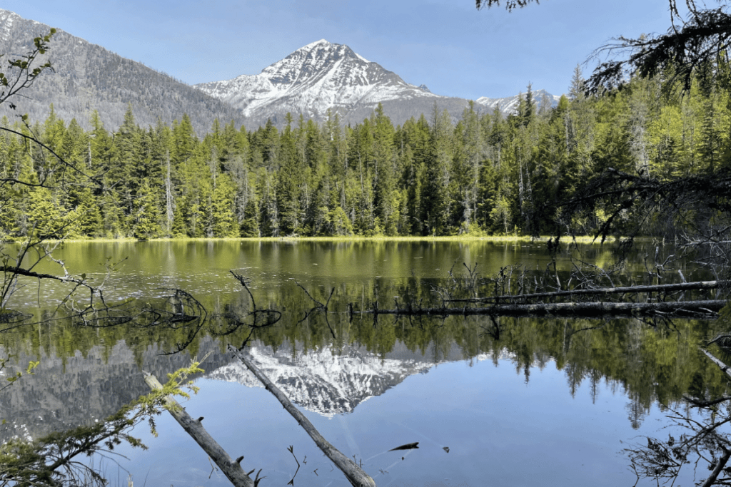 snow capped Mountain with reflection on lake in glacier national park in Montana during spring - leave no trace for kids and adults post