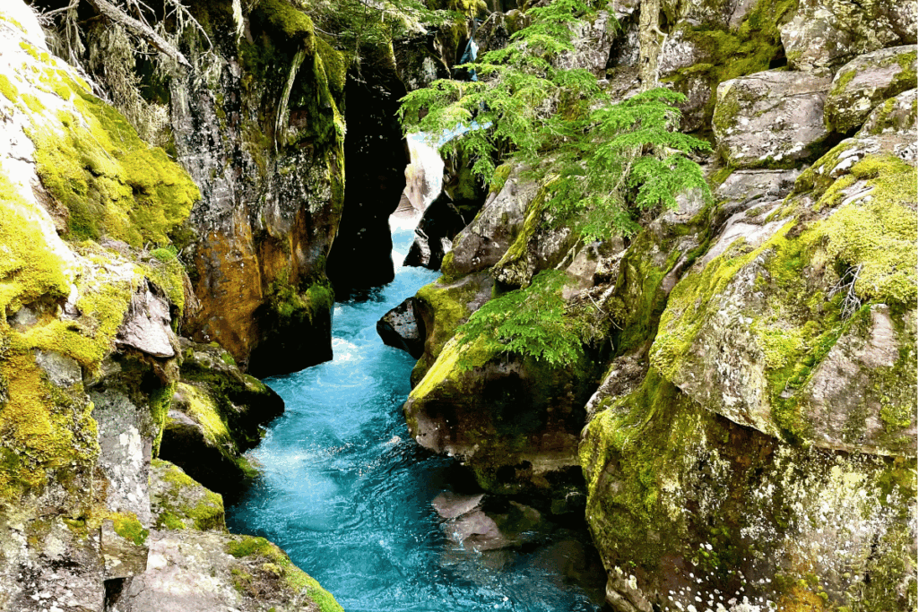Glacier National Park Trail of the Cedars overlooking turquoise blue water of Avalanche Creek.