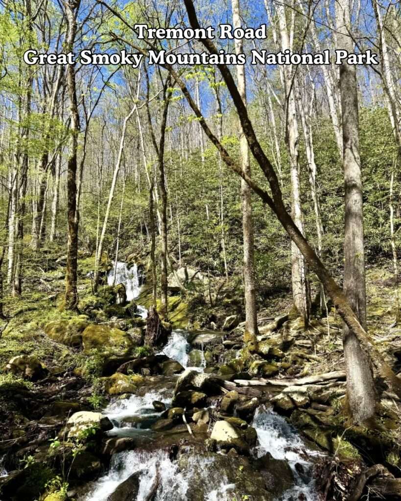 Roadside Waterfall on Tremont Road in TN Great smoky mountains National park near townsend and middle prong trailhead